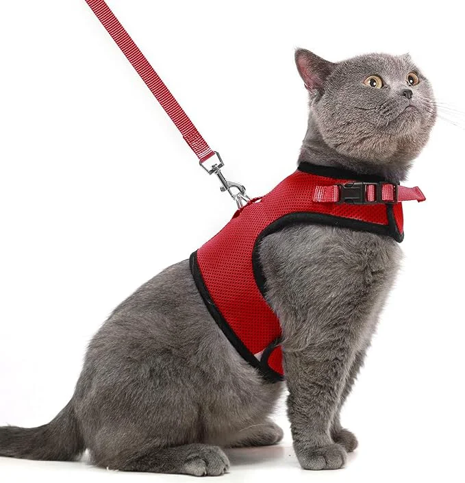 Verified PUPTECK Soft Mesh Cat Vest Harness and Leash Set Puppy Padded Pet Harnesses Lightweight