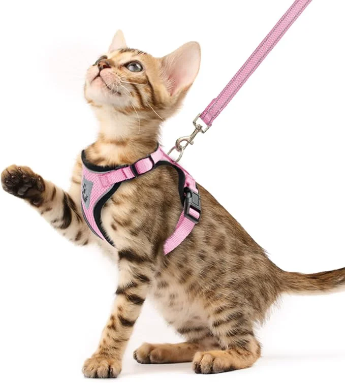 Classic PUPTECK Cat Harness and Leash Set Escape Proof Reflective Cat Walking Harness Luxury