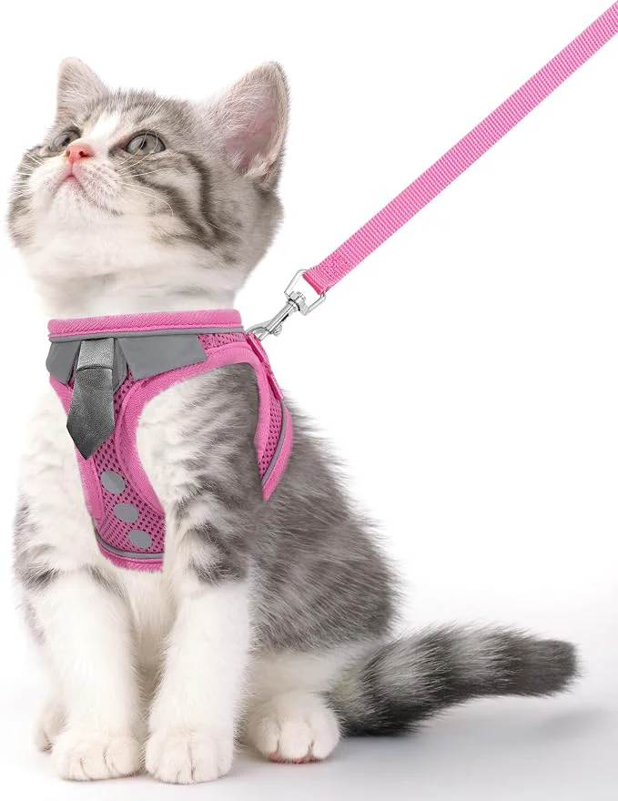 User-Friendly Cat Harness and Leash Set for Walking Escape Proof Soft Adjustable Kitten Top-Quality