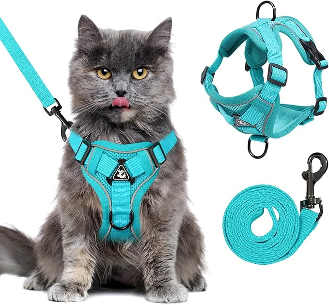 Casual Large Cat Harness and Leash Set Minimalist