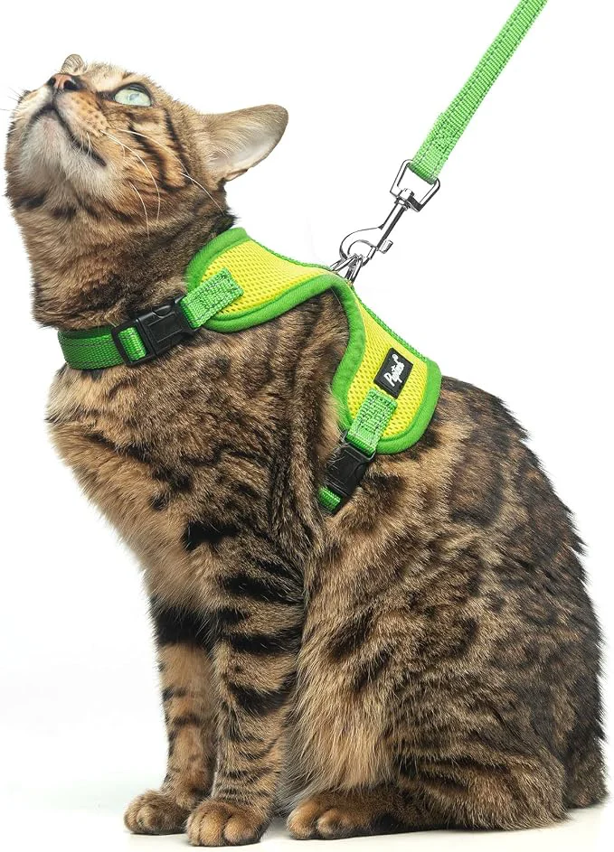 Unique PUPTECK Cat Harness and Leash Set Escape Proof Reflective Adjustable Soft Mesh Genuine