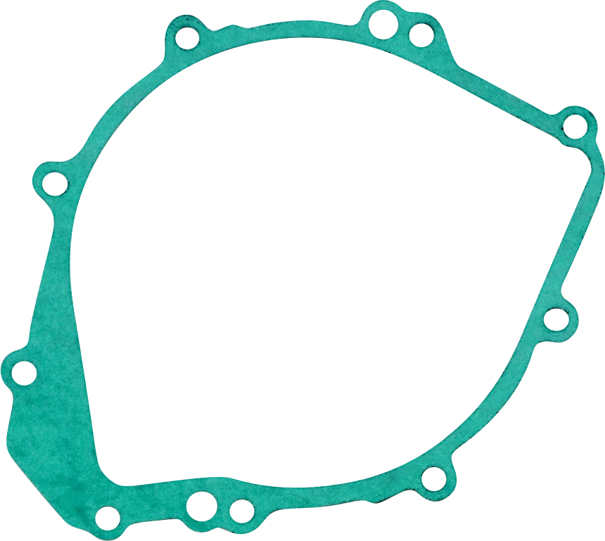 Flexible RICK'S MOTORSPORT ELECTRIC Stator Gasket - Yamaha 25-410 Safe