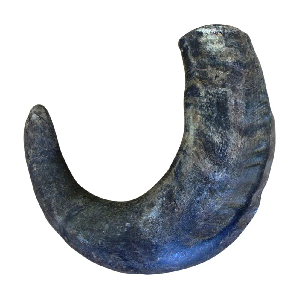 Modern QT Dog Buffalo Horn Large - 2 Pack Natural Long-Lasting Chews Quality