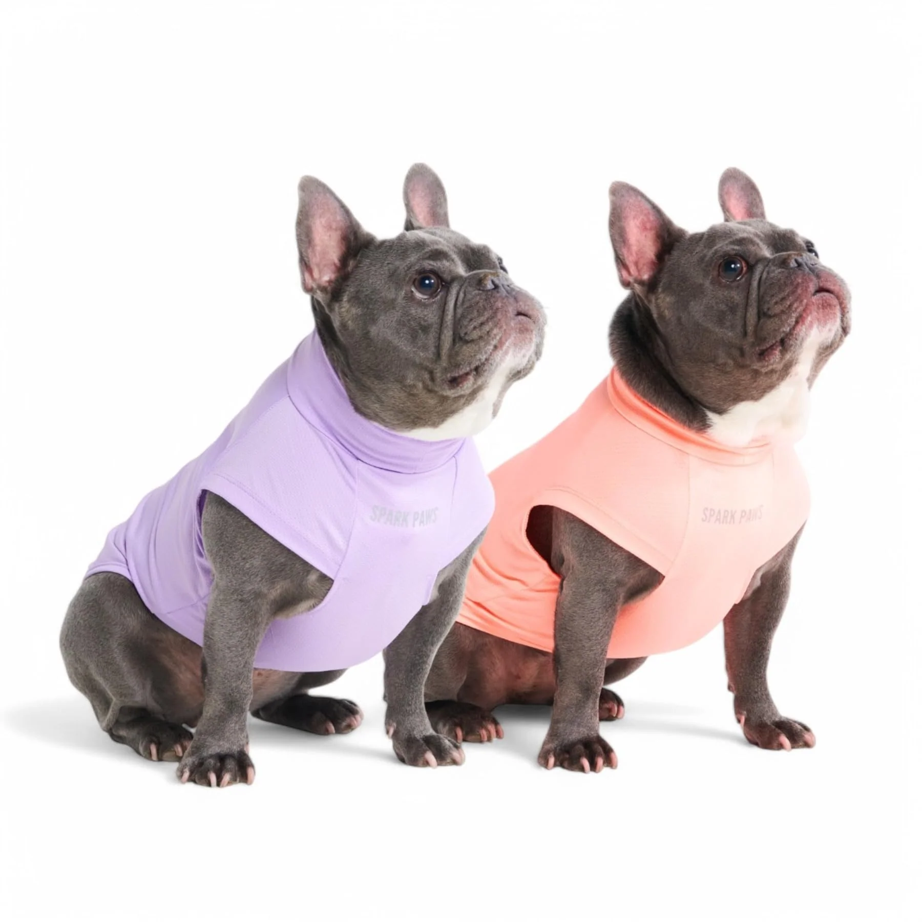 Dependable Spark Paws Sunblock Dog T-Shirt SPF30 - Lightweight Breathable Quick-Dry Set of 2 Purple Peach Size L Efficient