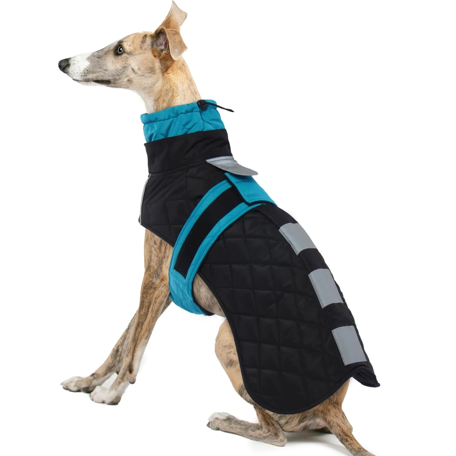 Contemporary IECOii Greyhound Coat – Waterproof Winter Jacket with Warm Fleece Lining Blue-M Smooth