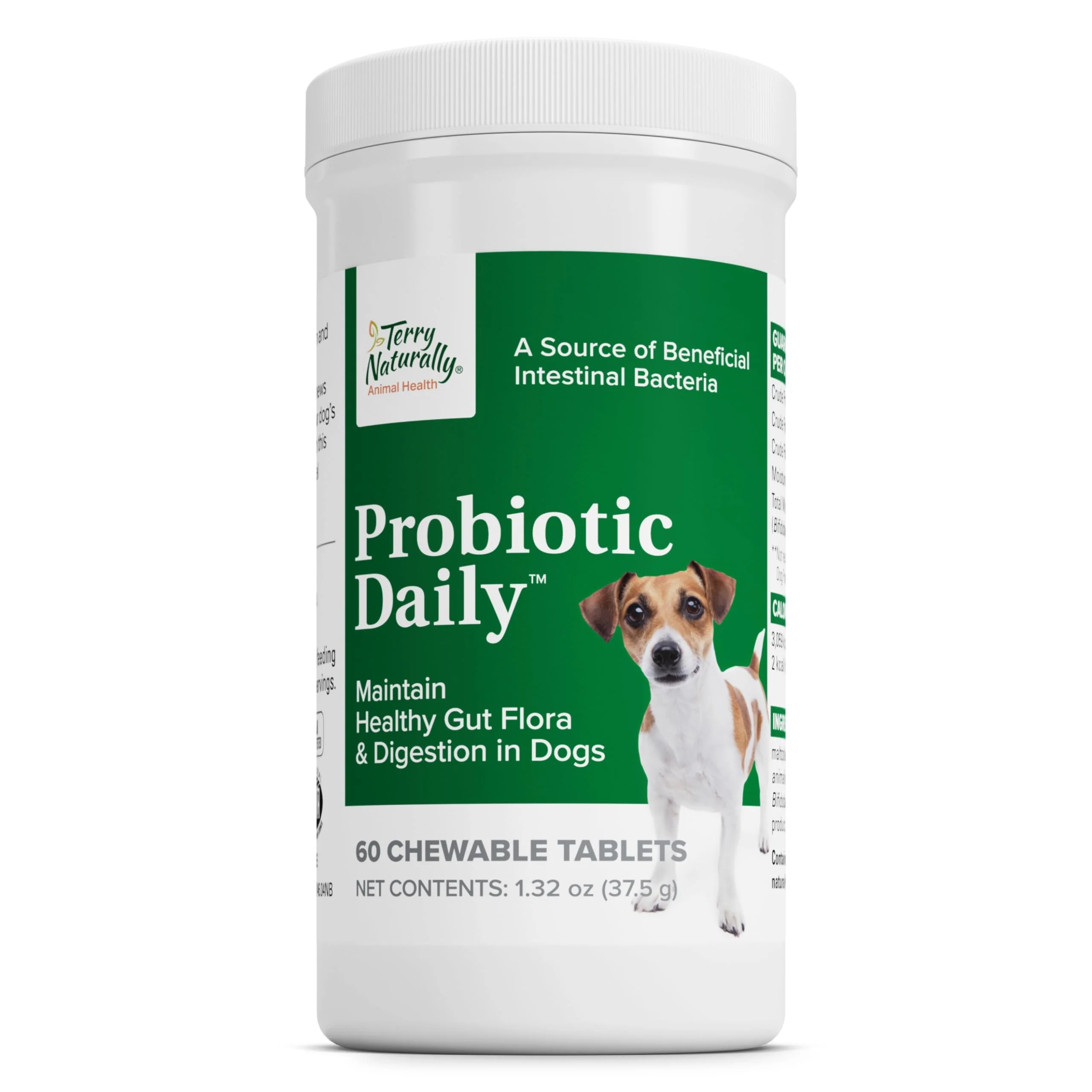 Expertly Made Terry Naturally Probiotic Daily for Dogs — Digestive Health Tablets 60 Chewables First-Class