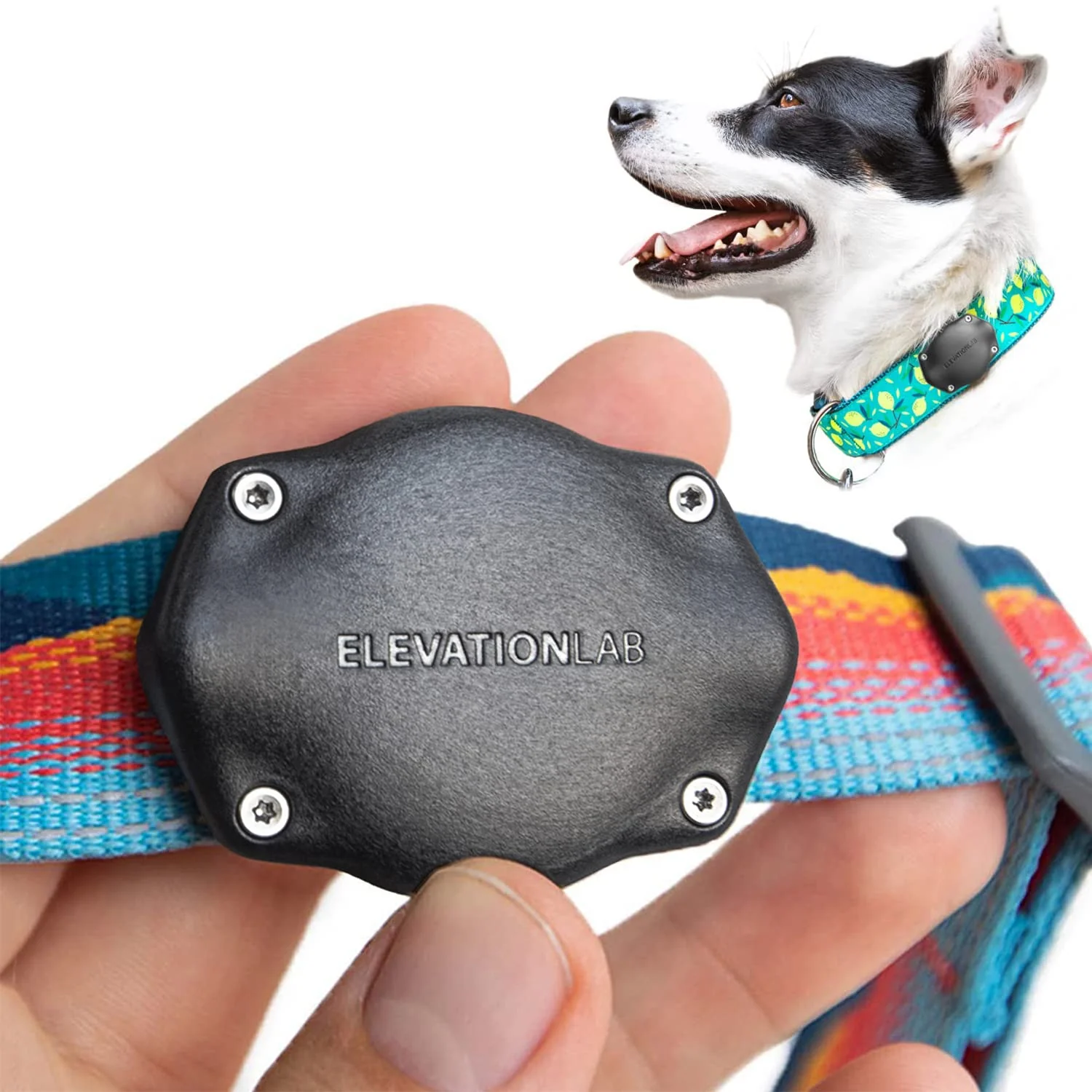 Advanced Elevation Lab TagVault AirTag Dog Collar Mount IP69 Waterproof Fits All Width Collars Glow in the Dark Elegant