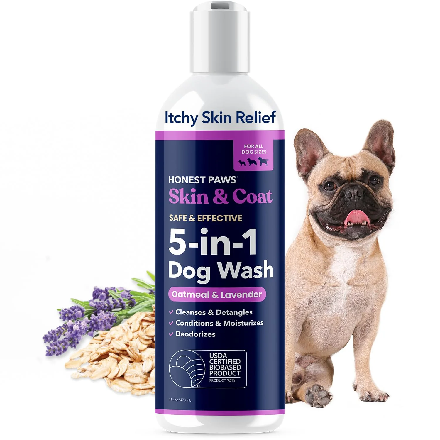 Relaxed Honest Paws Dog Shampoo Conditioner - 5-in-1 Oatmeal Lavender 16 fl oz All Breeds Selected