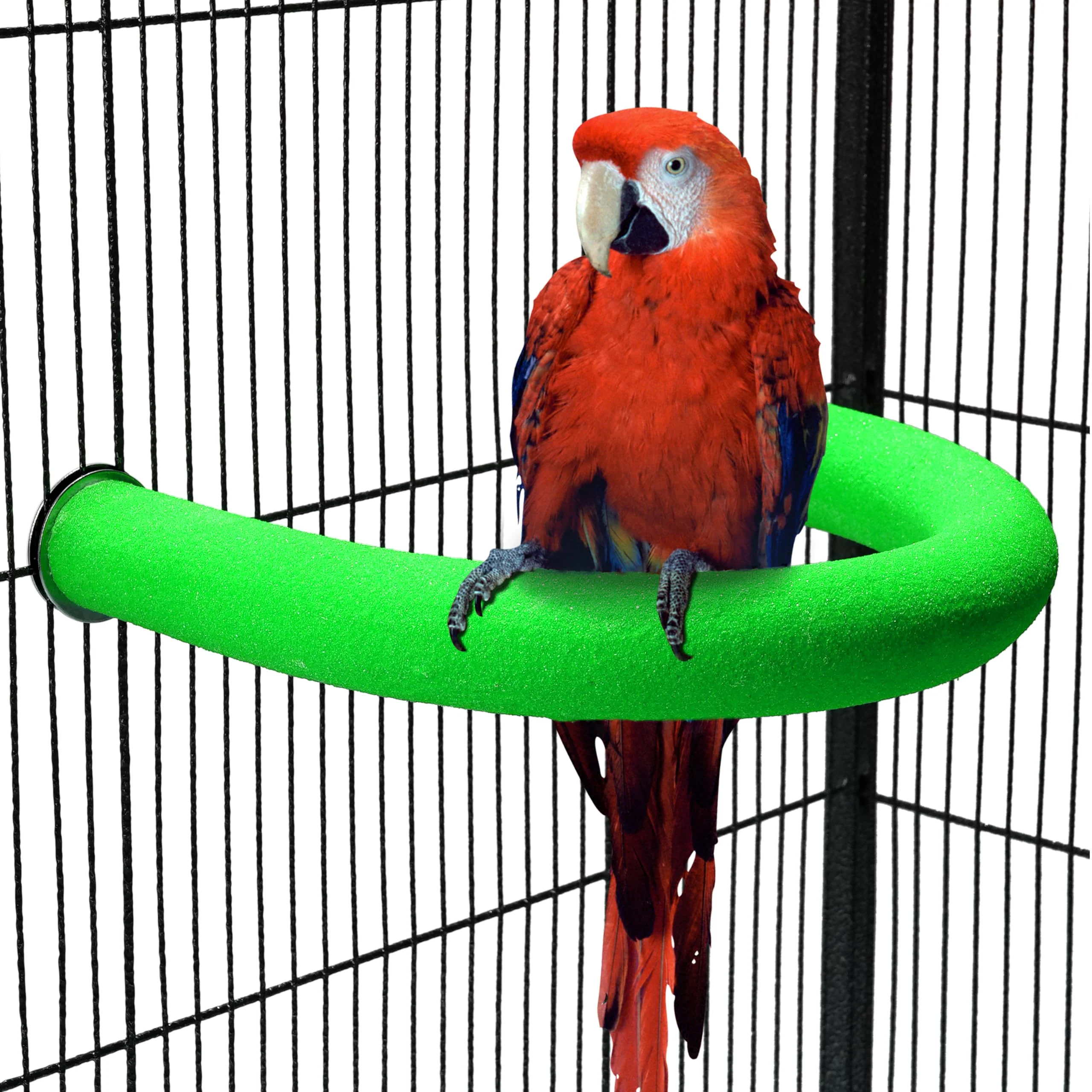 Comfortable FrgKbTm U-Shape Parrot Perch Stand – Green Sand-Coated Non-Toxic Bird Toy Safe