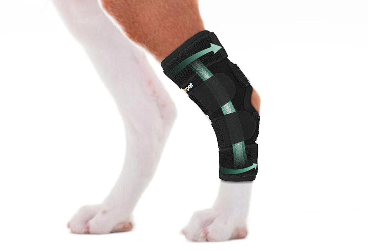 Exceptional Lyderpet Dog Leg Brace for Rear Hock Ankle — Support for ACL CCL Arthritis L Trusted