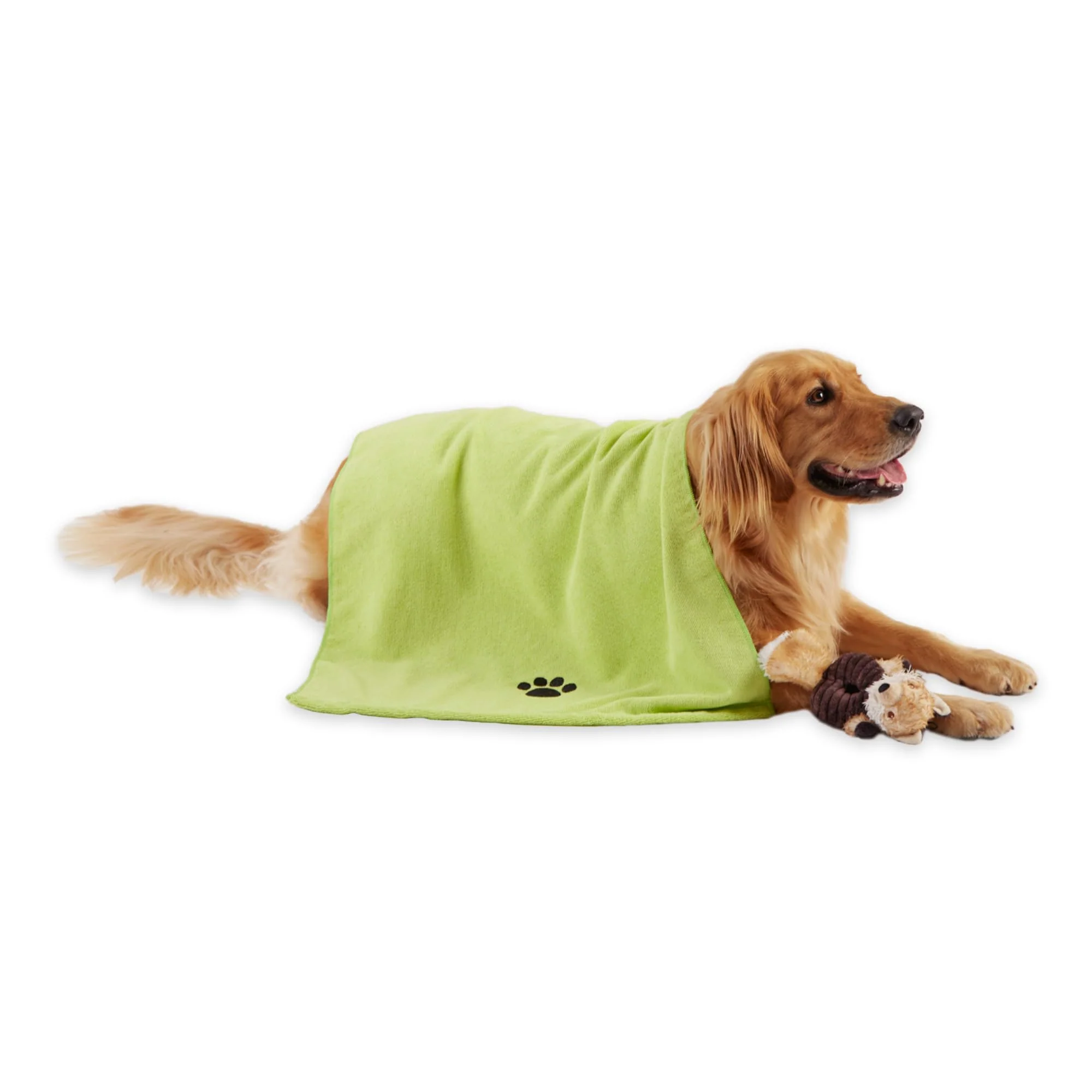 Artisan Bone Dry Pet Grooming Microfiber Towel - Embroidered Collection X-Large 41x23.5 in Lettuce Green Practical