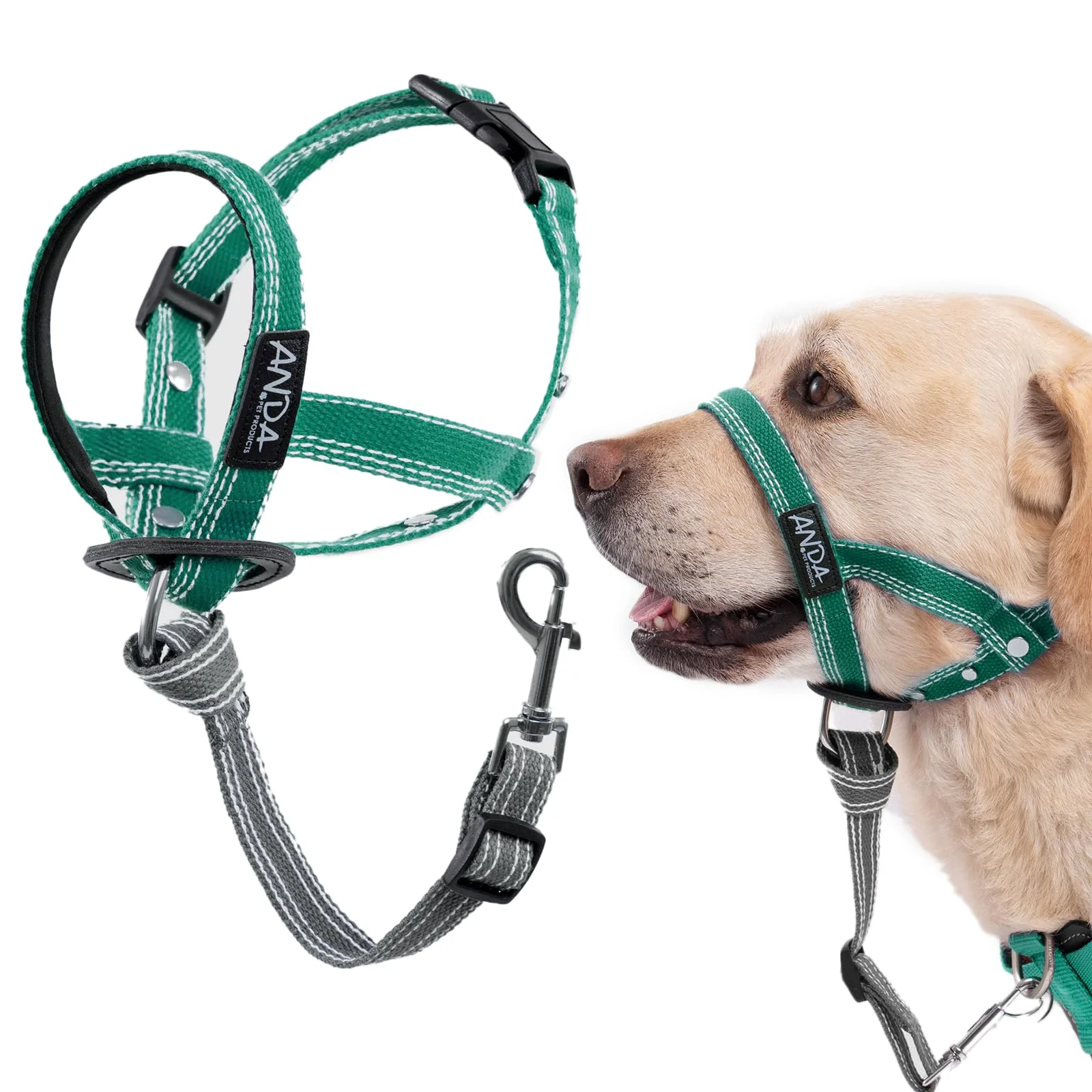 Artisan ANDA Ultra-Light No-Pull Gentle Leader for Dogs – Adjustable Breathable Headcollar Green Size 2 User-Friendly