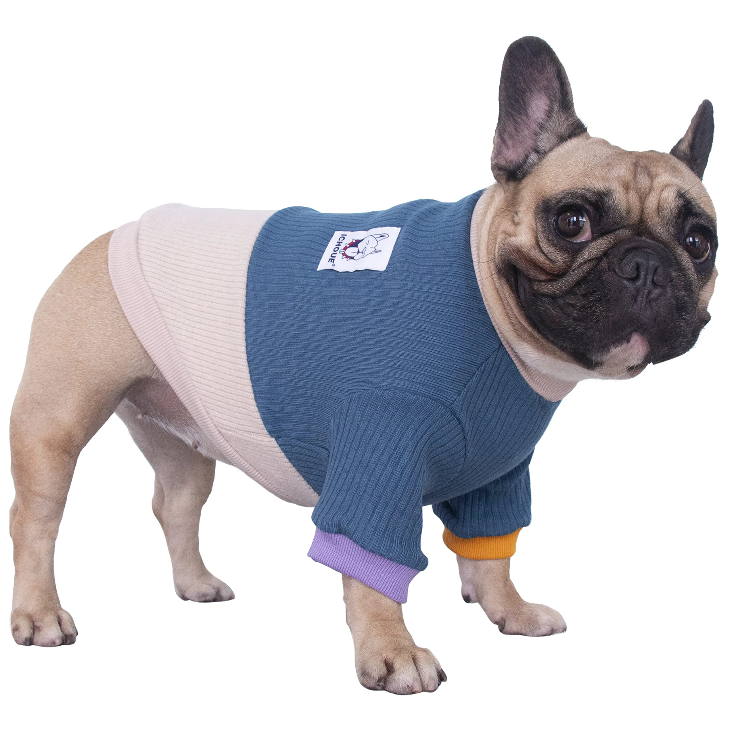 Solid iChoue Dog Crewneck Sweater Color Block – Lake Blue Yellow XL Modern