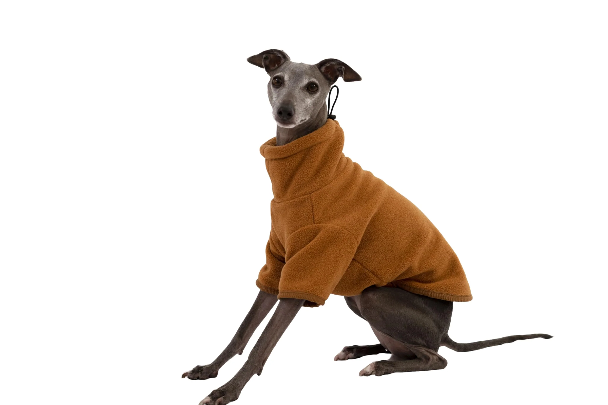 Authentic Yigi Turtleneck Cozy Teddy Fleece Sweatshirt for Italian Greyhounds Whippets Sighthounds Adjustable Drawstring Premium