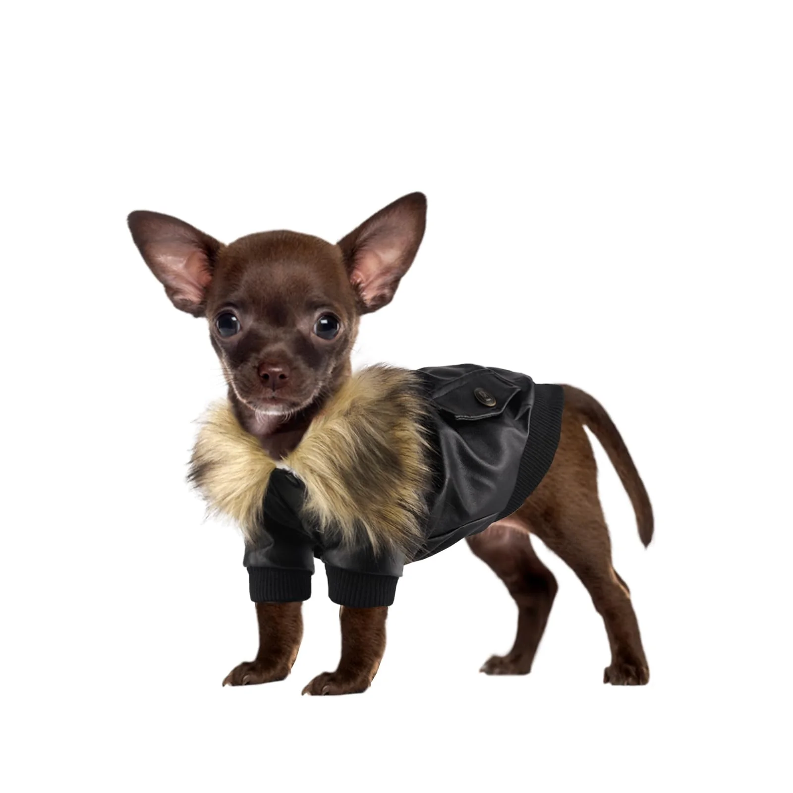 Solid NAMSAN Small Dog Winter Coat - PU Leather Motorcycle Jacket Waterproof Warm Practical