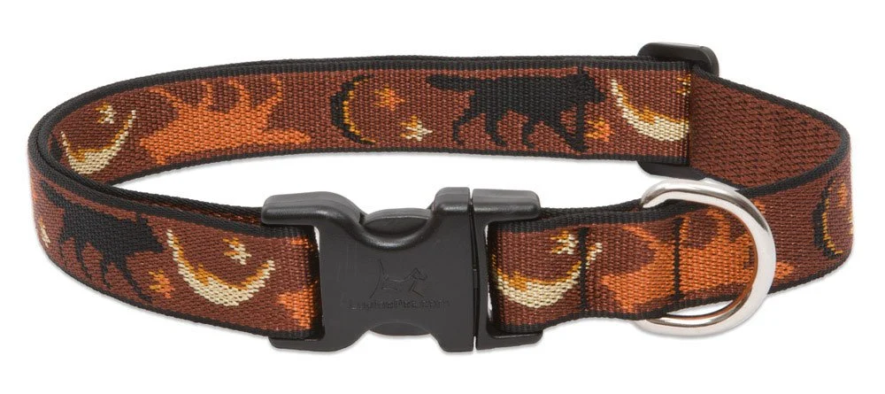 Certified LupinePet s 1-Inch Shadow Hunter Collar – Adjustable 12-20 Inches for Medium Large Dogs Elite