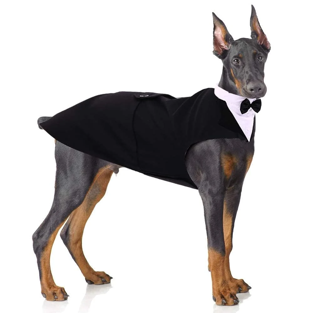 Trusted PUMYPOREITY Dog Tuxedo Bandana Set – 2-Piece Bow Tie Formal Outfit 2XL Black Consistent