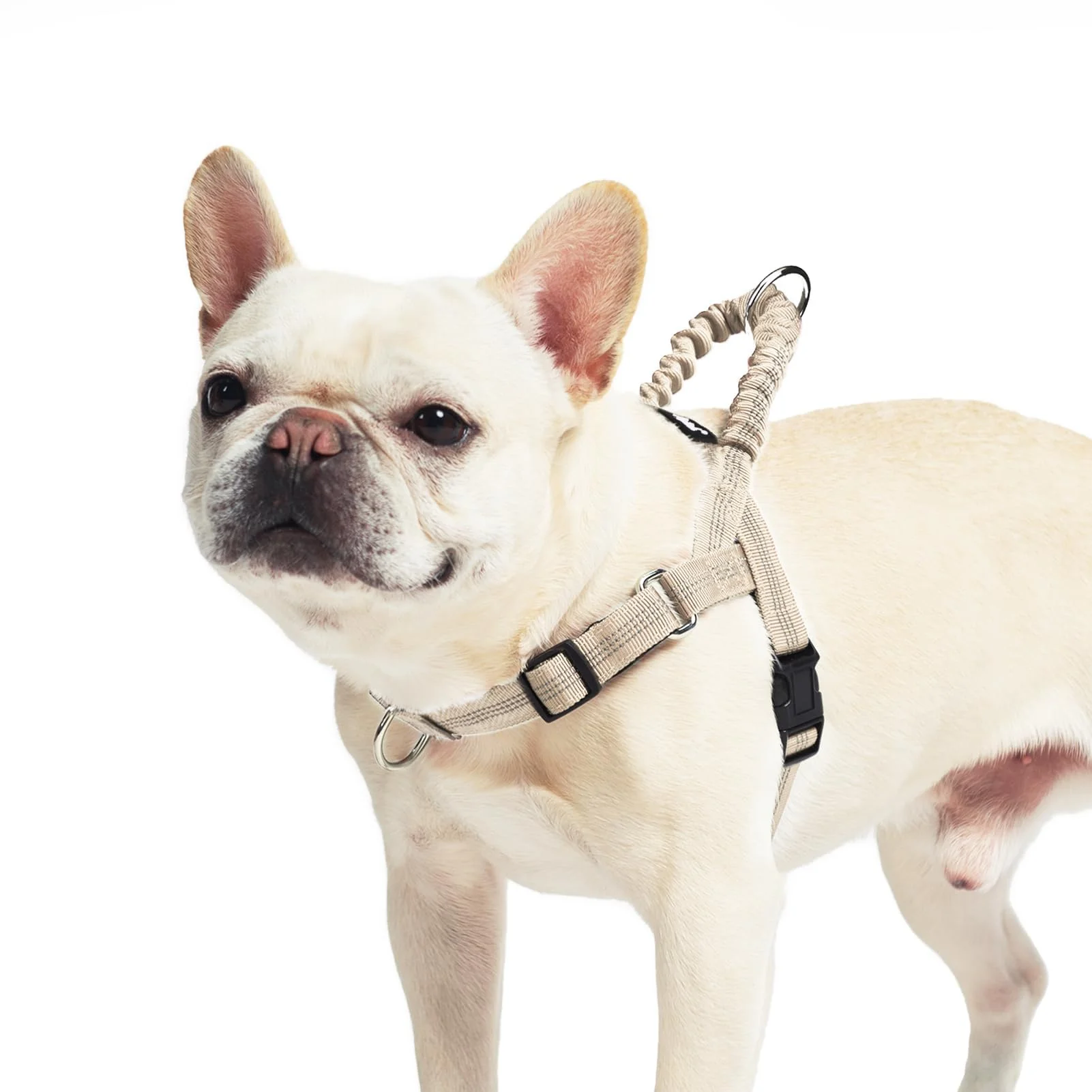 Traditional PUPTECK No-Pull Dog Harness Small – Adjustable Reflective Vest with Bungee Handle Beige S Sustainable