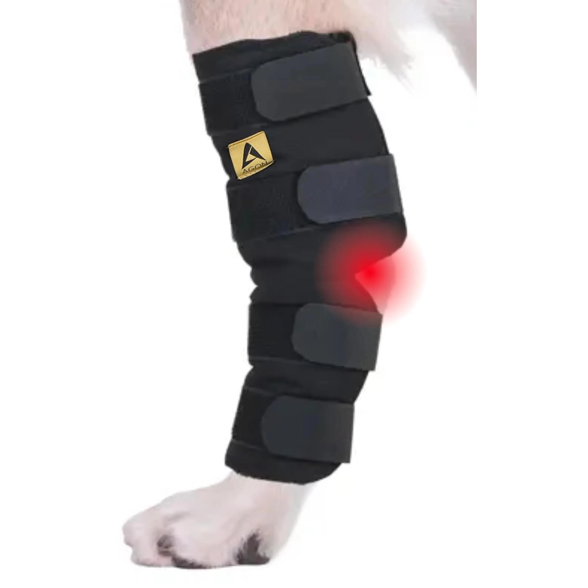 High-Performance AGON® Dog Hock Brace – Hind Leg Support Wound Protection Joint Care Large Long-Lasting