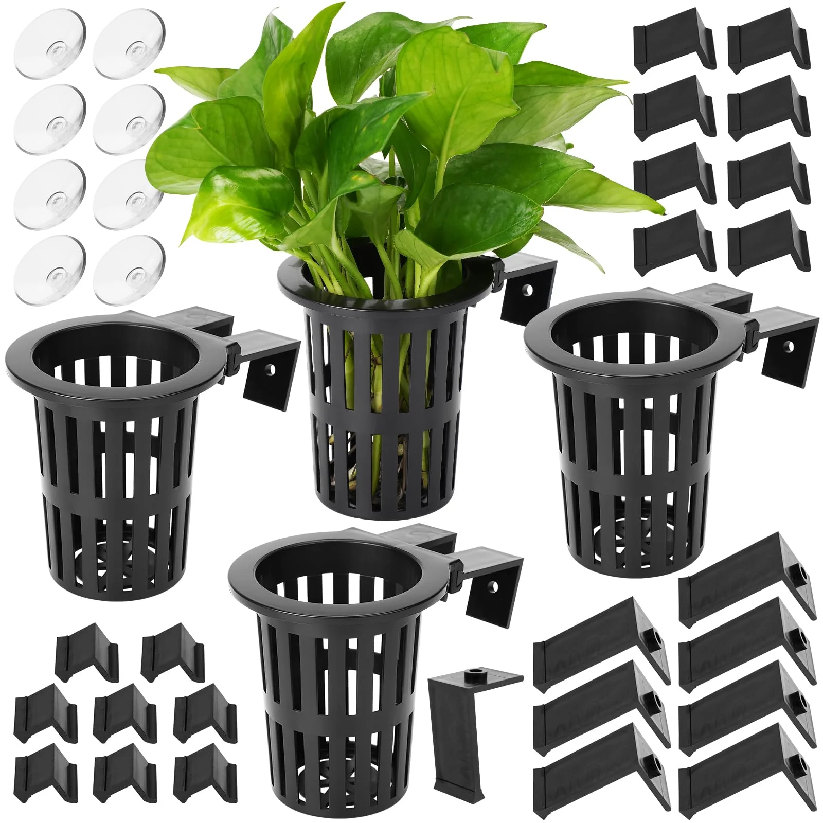 Unique Borlech 2025 Upgraded Large Aquarium Plant Holder — 4 PCS with 1.57-inch Extension Hooks Suction Cups Certified