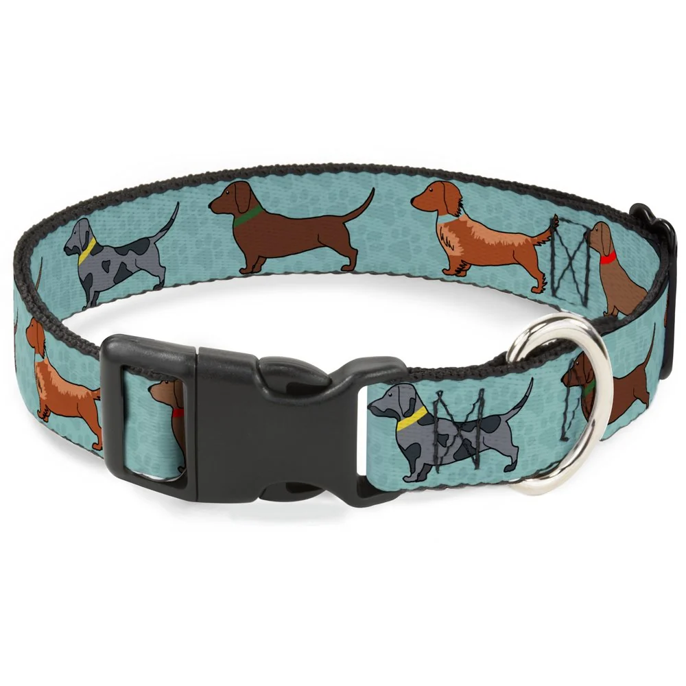 Genuine Buckle-Down Dachshund 4-Dogs Paws Aquas Clip Collar – 1 2 Inch Wide Fits 6-9 Inch Neck Advanced