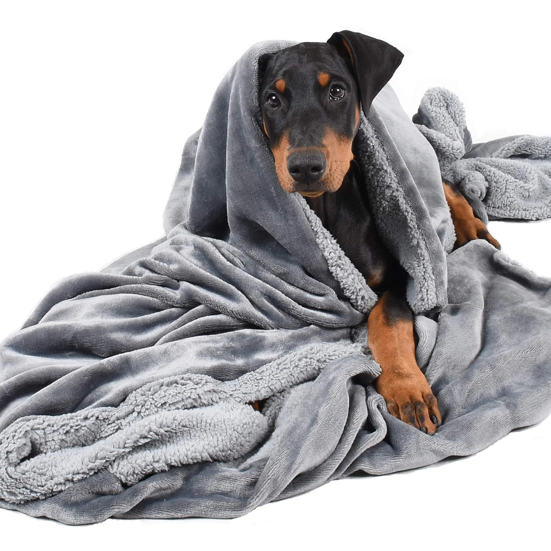 Trusted Kritter Planet Dog Blankets for Large Dogs – Ultra-Soft Sherpa Fleece 50x60 Smart