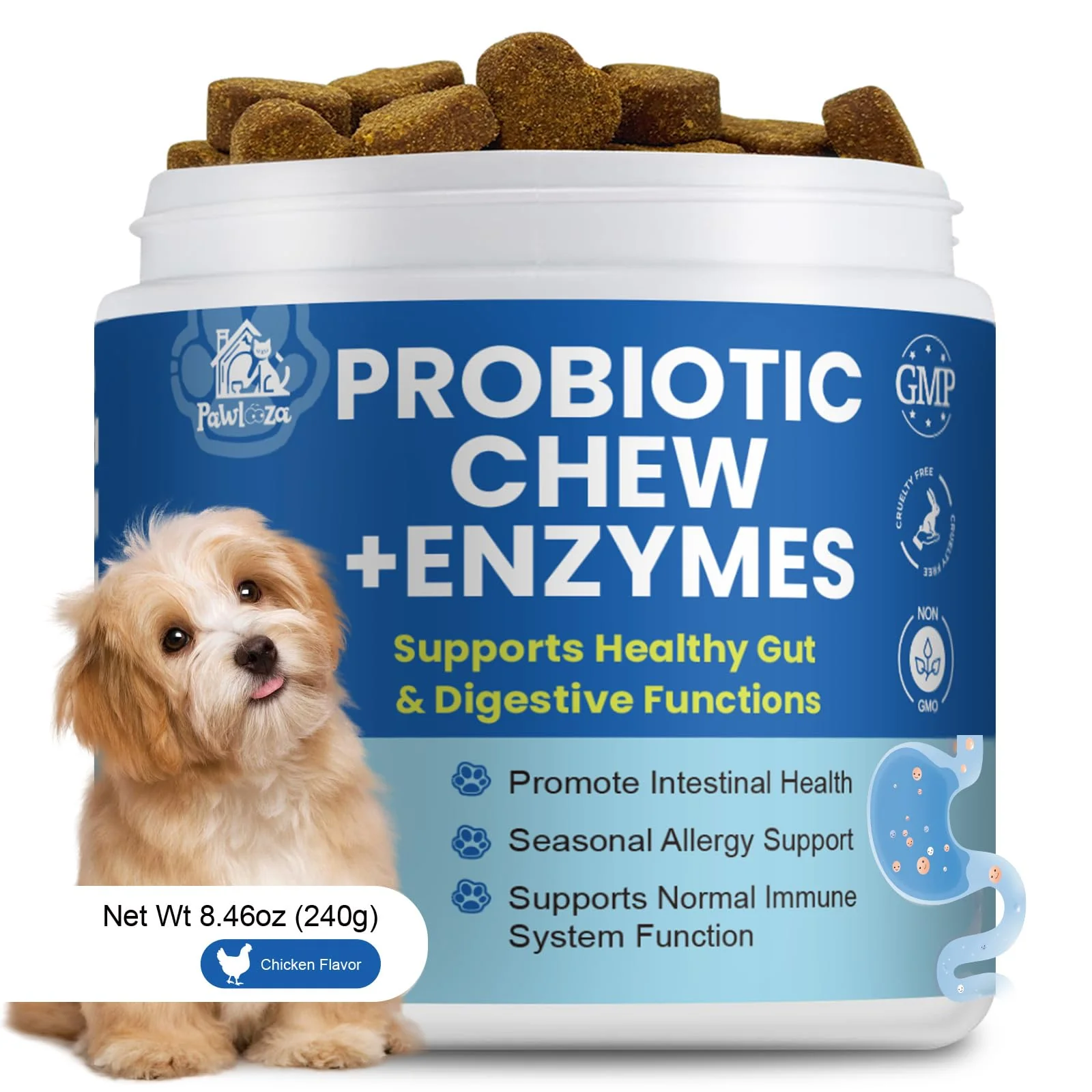 High-End Pawlooza Probiotics Dog Allergy Chews — 10 Billion CFU for Gut Health Skin Comfort Classic