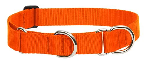Solid LupinePet Basics 1in Blaze Orange Martingale Collar for Large Dogs 19-27 inch Secure
