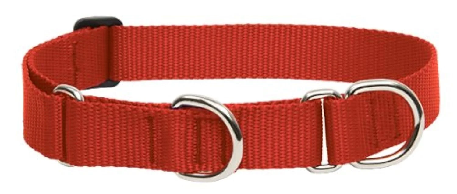 User-Friendly LupinePet Basics 1in Red Martingale Collar — 15-22in for Medium Large Dogs Top-Quality