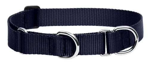 Carefully Designed LupinePet Basics 1-Inch Black Martingale Collar 15-22in for Medium Large Dogs Organic
