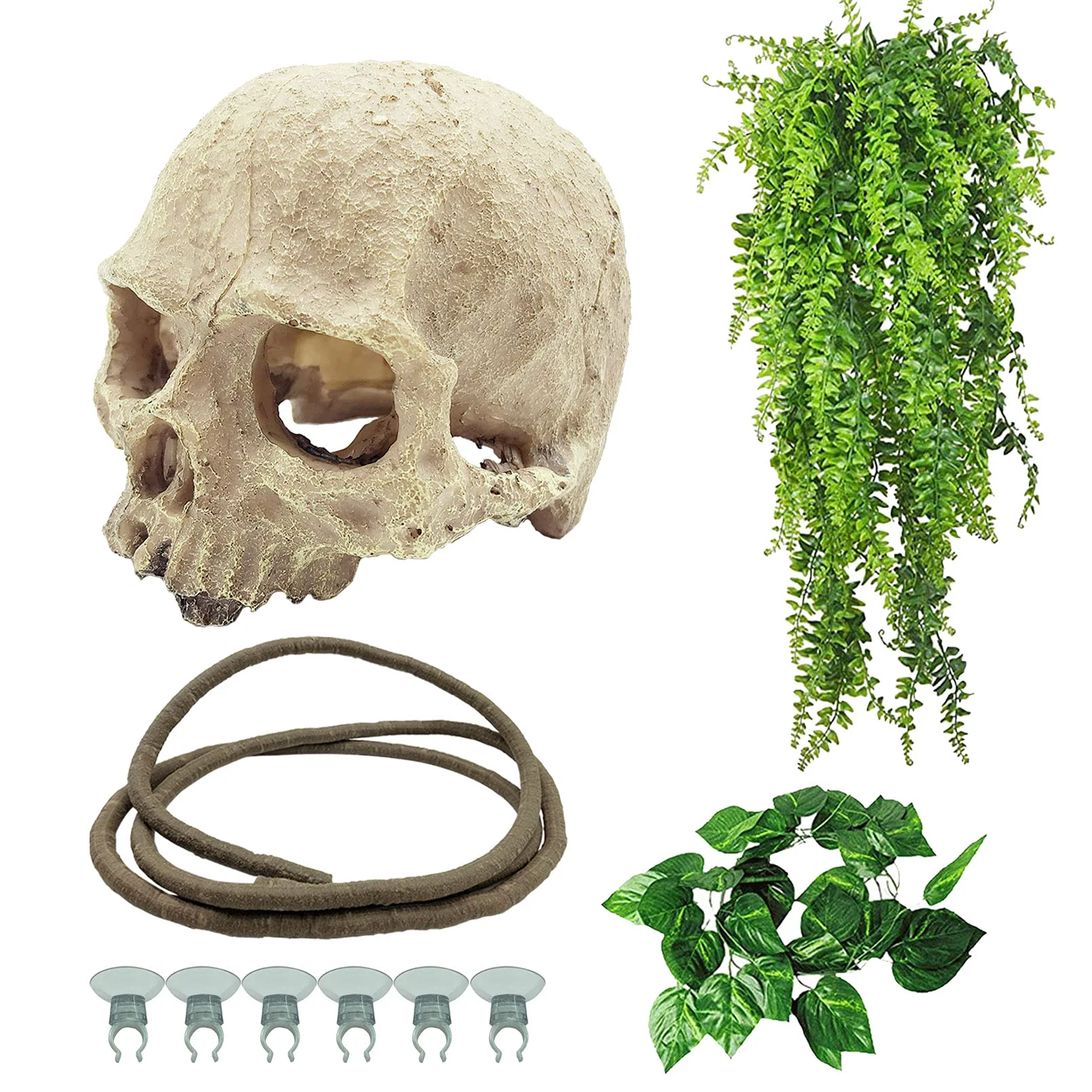 Convenient Tfwadmx Reptiles Skull Hide Decorations – 4 Pcs Terrarium Ornament Set for Bearded Dragons Lizards Verified