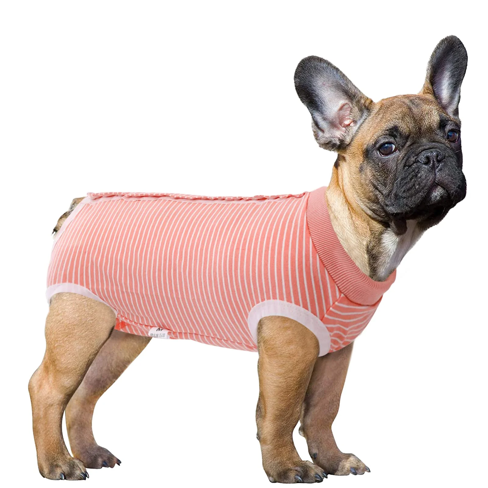 Contemporary SAWMONG Recovery Suit for Dogs After Surgery – Pink XXX-Large Smooth