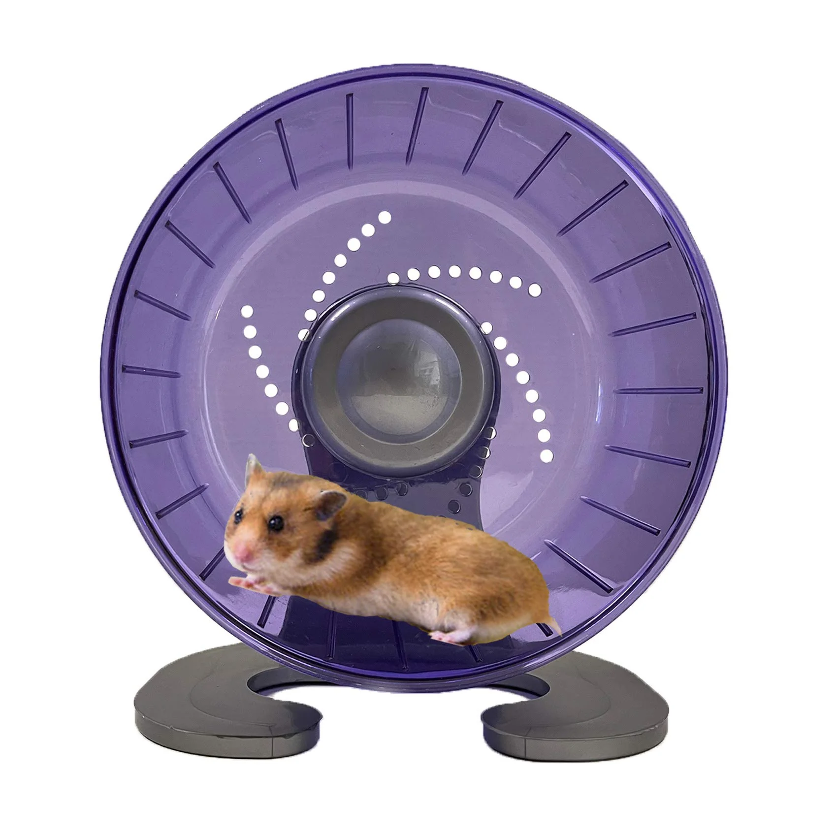 Solid Petest Hamster Exercise Wheel – 6.7-inch Silent Spinner Purple Casual