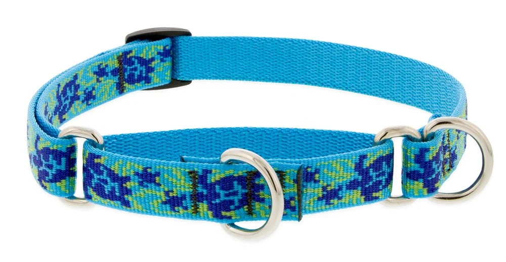 Breathable LupinePet s Turtle Reef Martingale Collar 14–20 in for Medium Large Dogs Long-Lasting