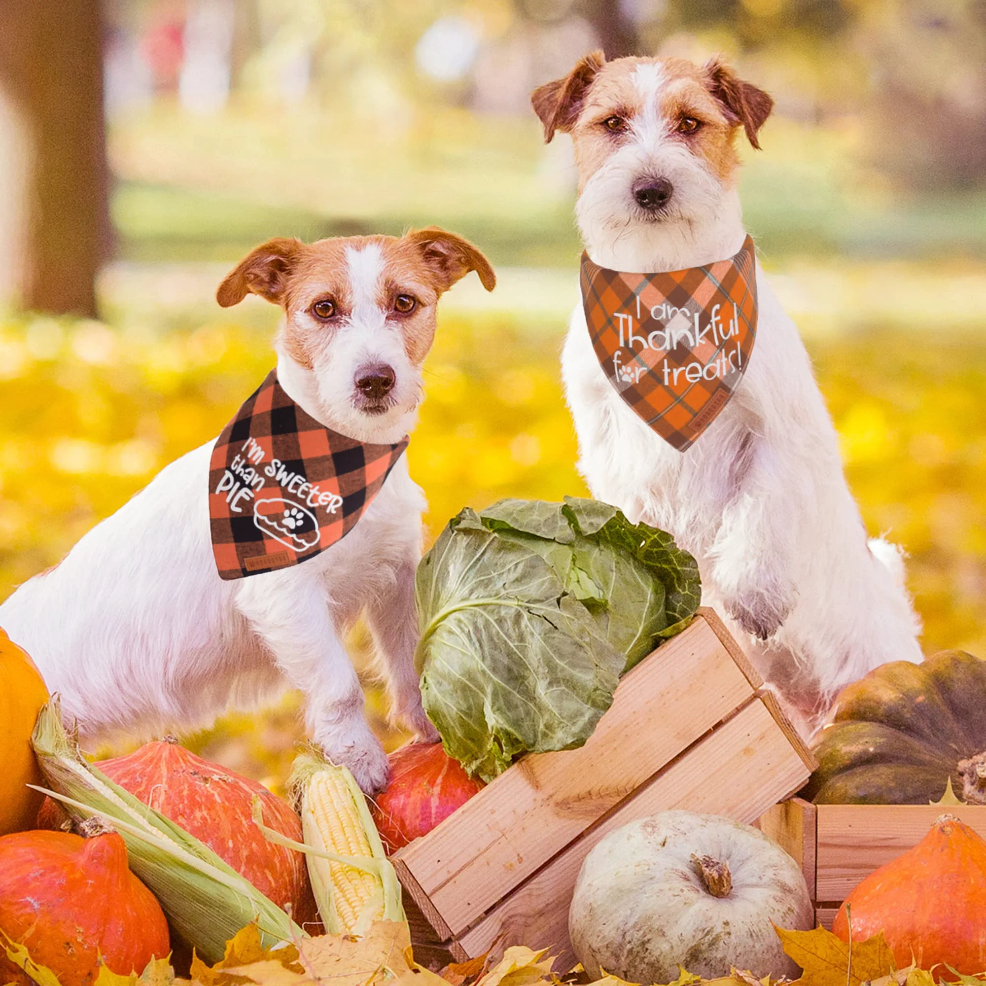 Unique ADOGGYGO Thanksgiving Dog Bandana – Orange Plaid Premium Cotton X-Large Enhanced