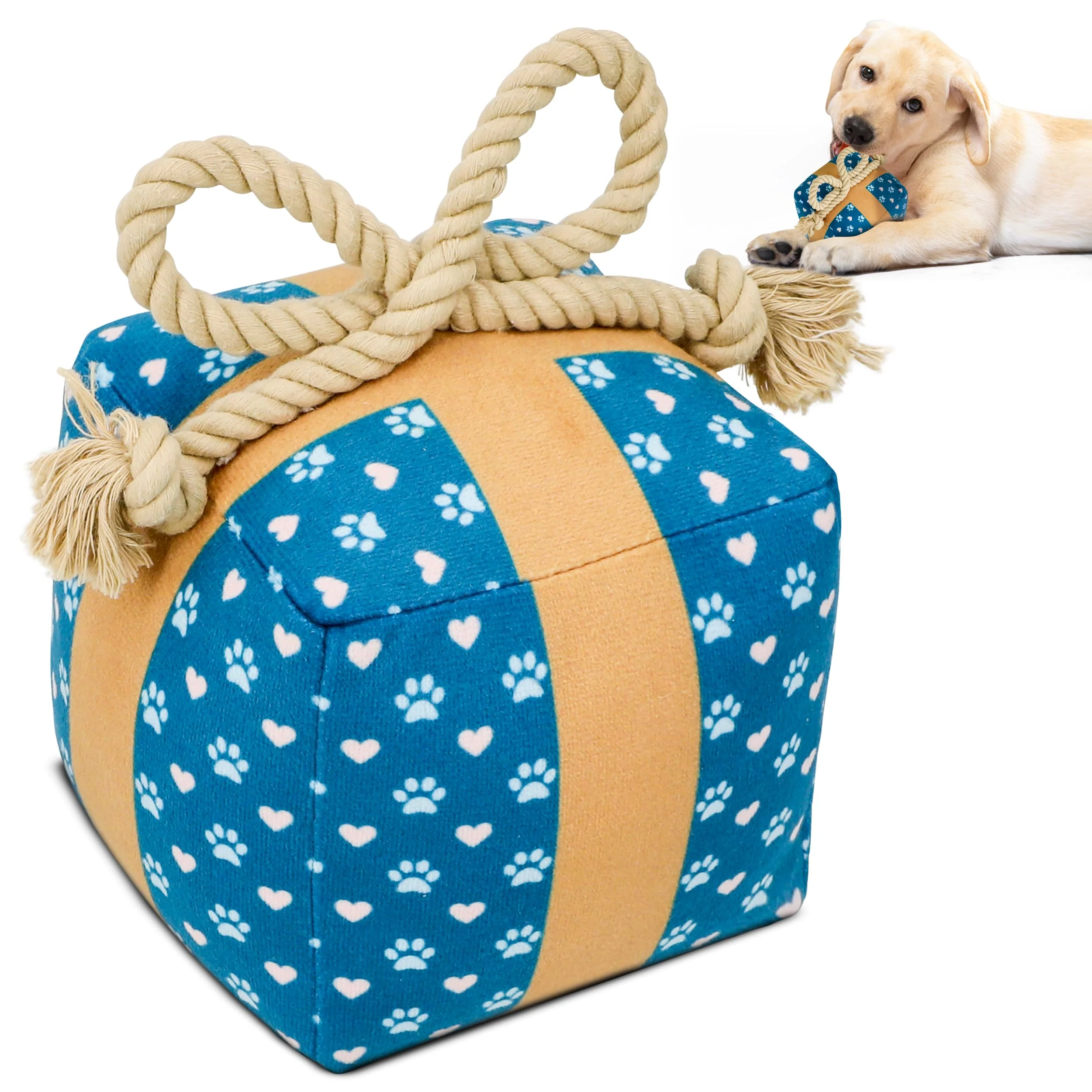 Quality PUPROAR Gift Box Dog Toy – Interactive Squeaker Crinkle Selected