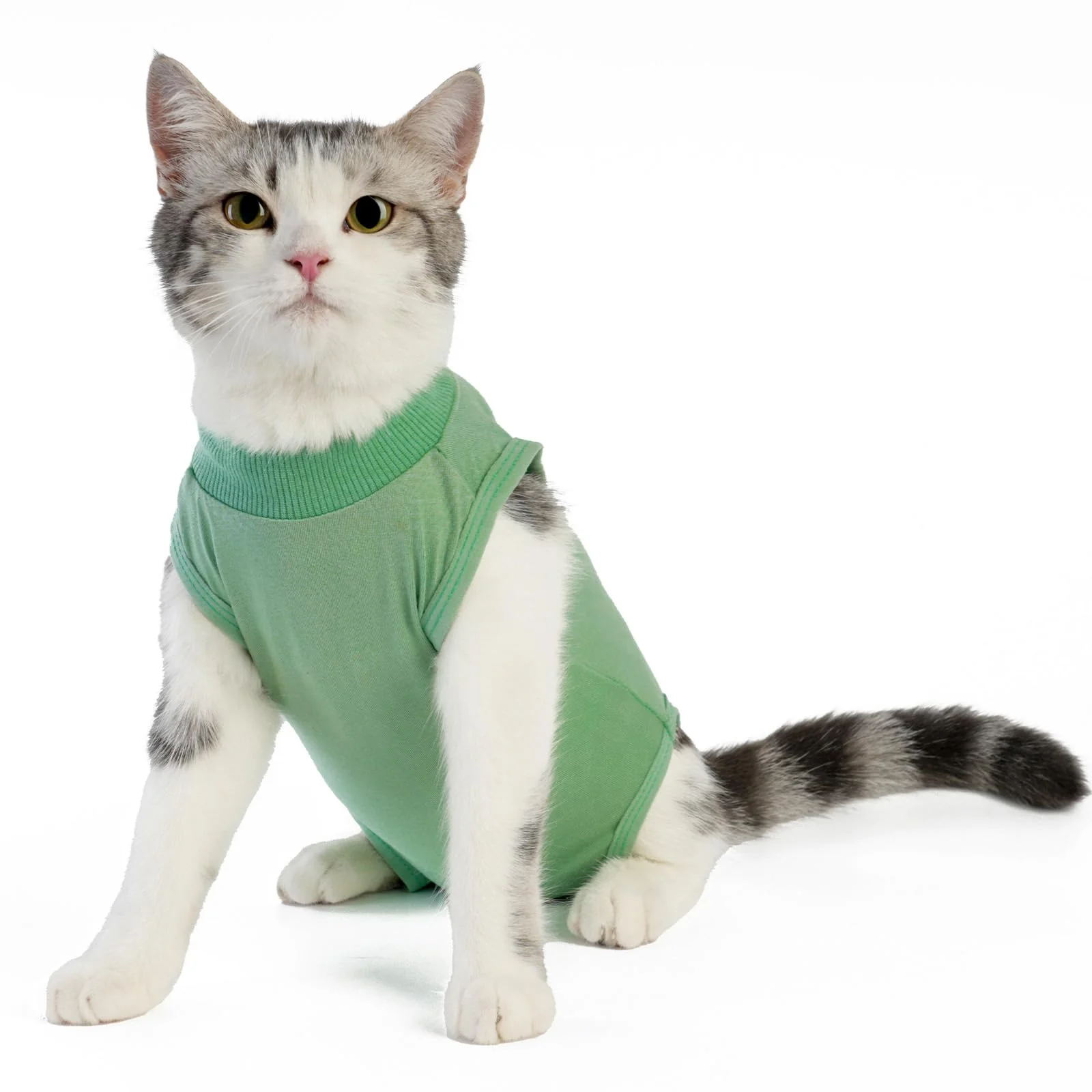 Durable kzrfojy Cat Surgery Recovery Suit – Post-Op Pajama-Style Wear for Cats Green Large Classic