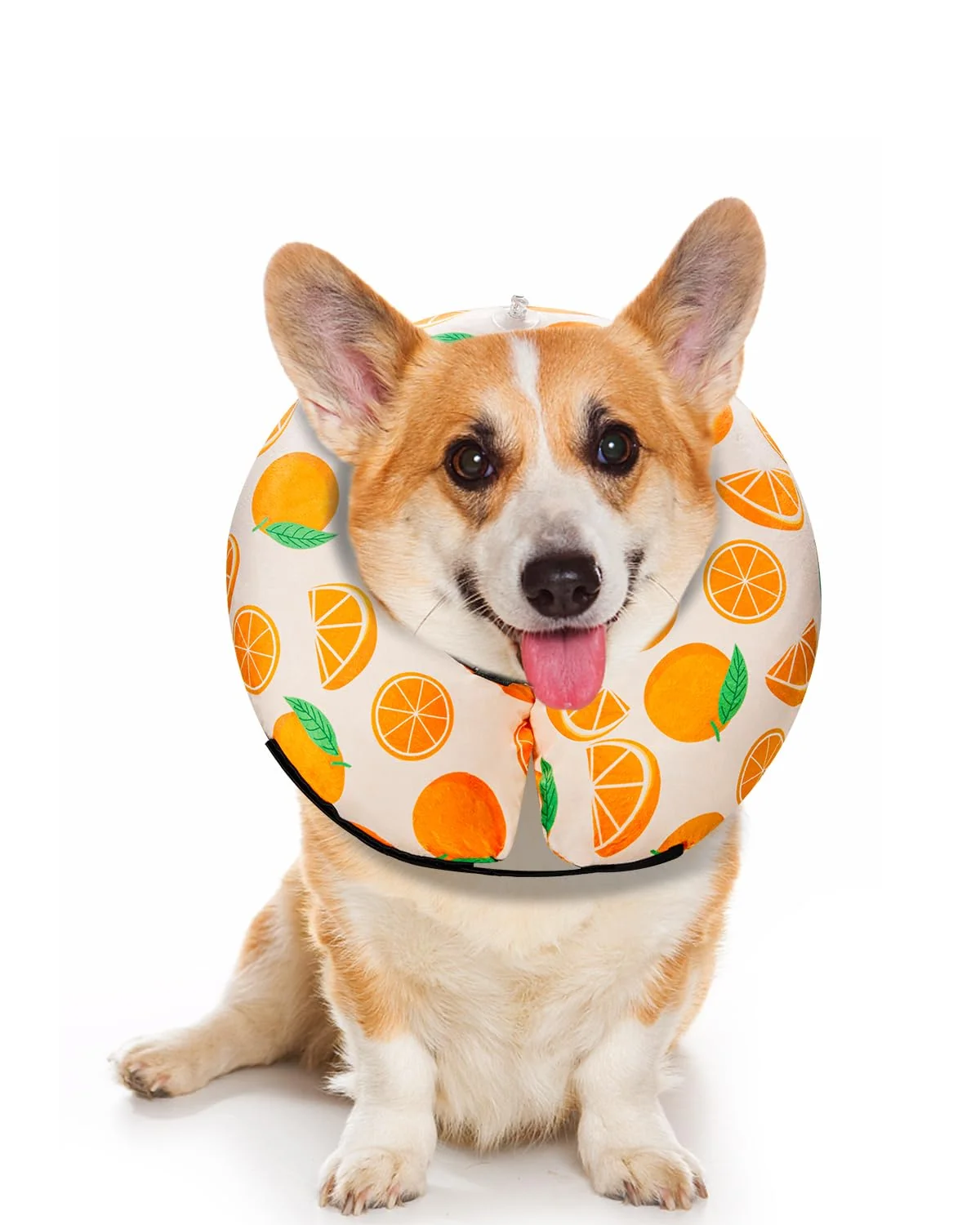 Contemporary MIDOG Inflatable Donut Cone — Soft Comfortable Post-Surgery E-Collar Reusable