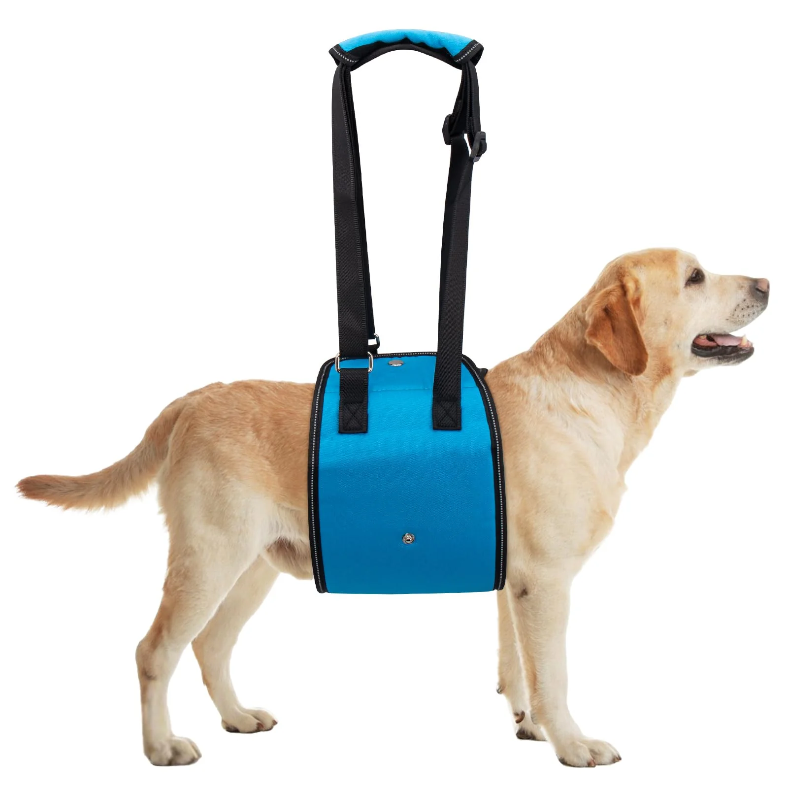 Optimized Coppthinktu Dog Lift Harness for Large Dogs Portable Hind Leg Sling Rehab Support Crafted