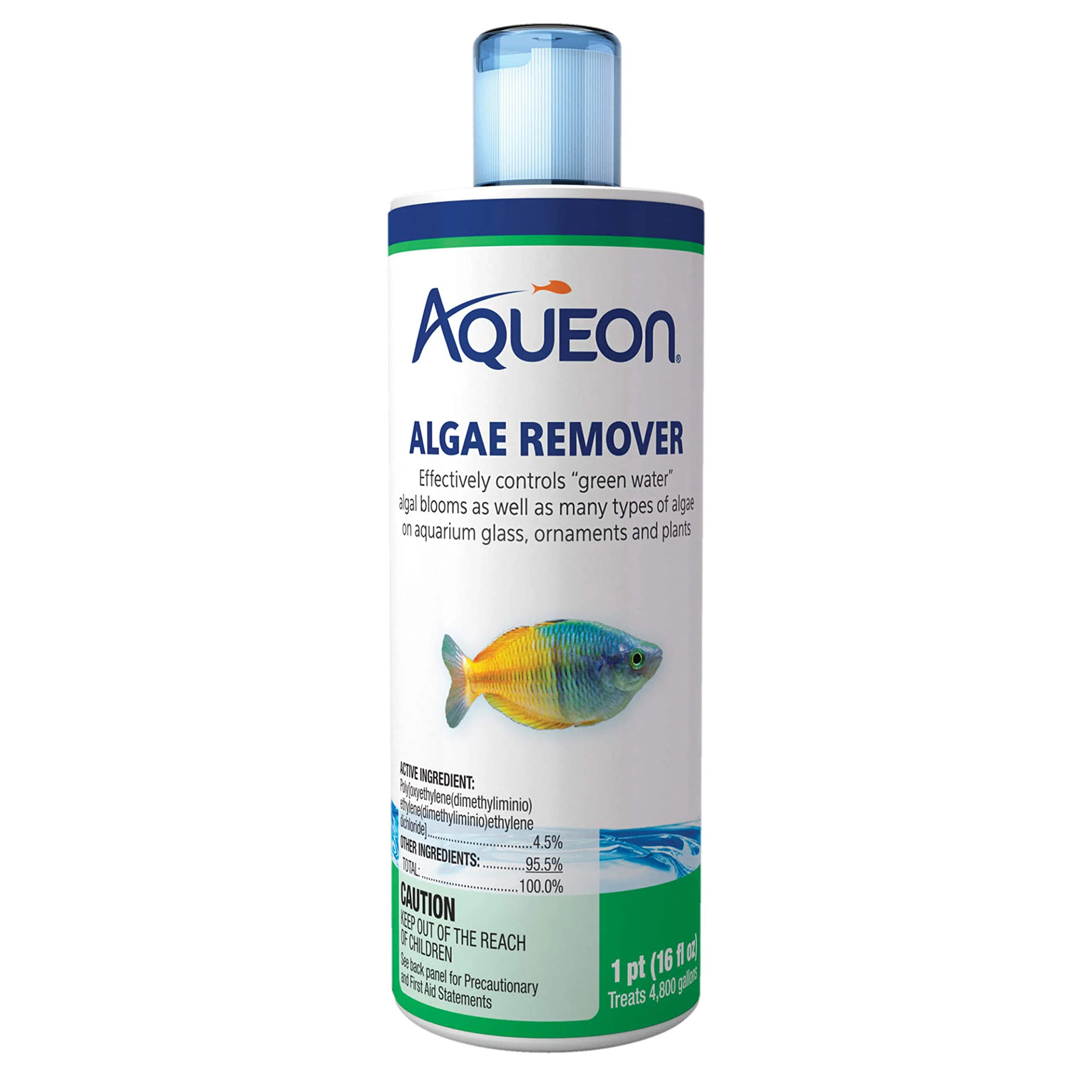 Comfortable Aqueon Algae Remover 16 fl oz Freshwater Algae Control for Aquariums Trusted