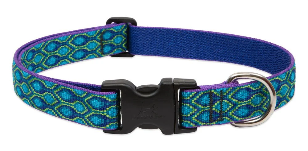 Clean LupinePet s 1-Inch Rain Song Collar for Large Dogs 16-28 in Even If Chewed Original Design