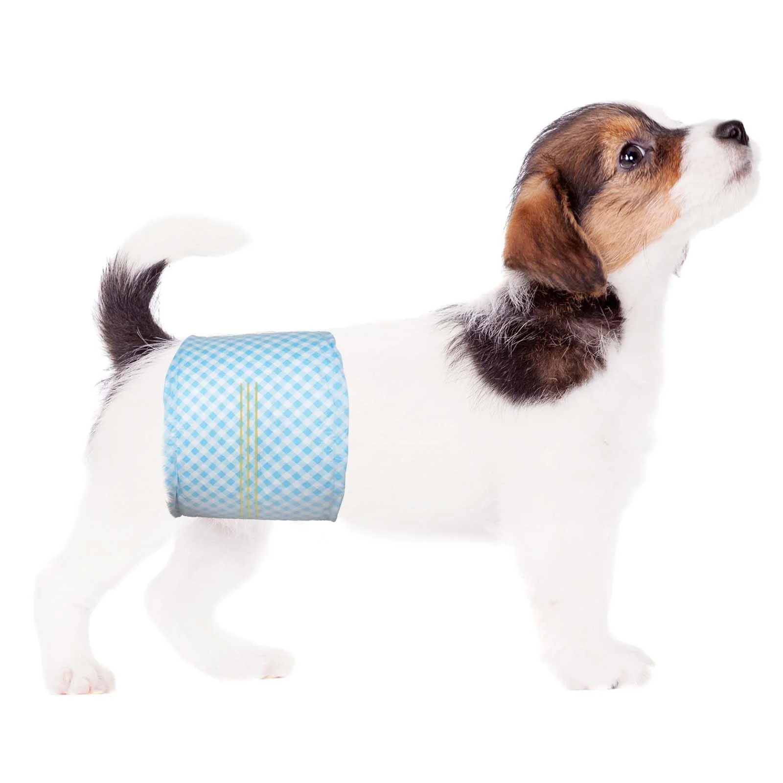 Long-Lasting Flying Paws Disposable Belly Bands for Male Dogs XS 20 Count — Wetness Indicator Super Absorbent Optimized