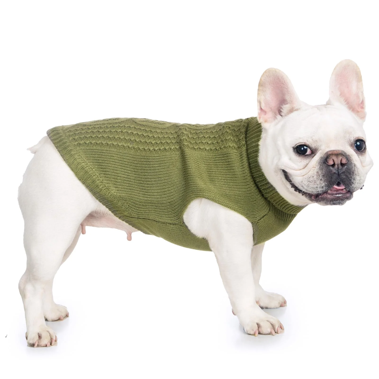 Carefully Designed Jnancun Stretchy Cat Sweater 17 Colors 6 Sizes Winter-Ready Knit for Cats Kittens Olive Green X-Large Prestigious