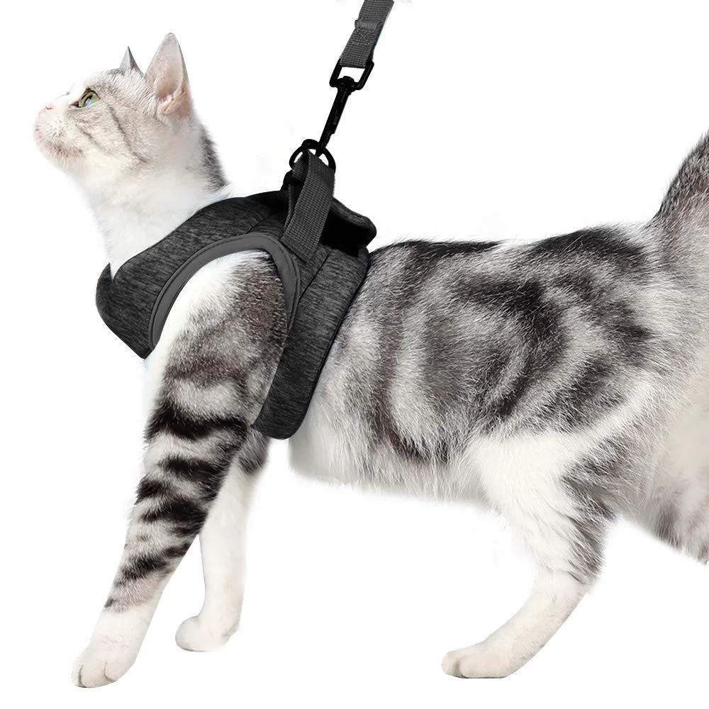 Advanced HEYWEAN Cat Harness and Leash - Ultra-Light Escape-Proof Kitten Harness for Cats and Small Pets Sustainable
