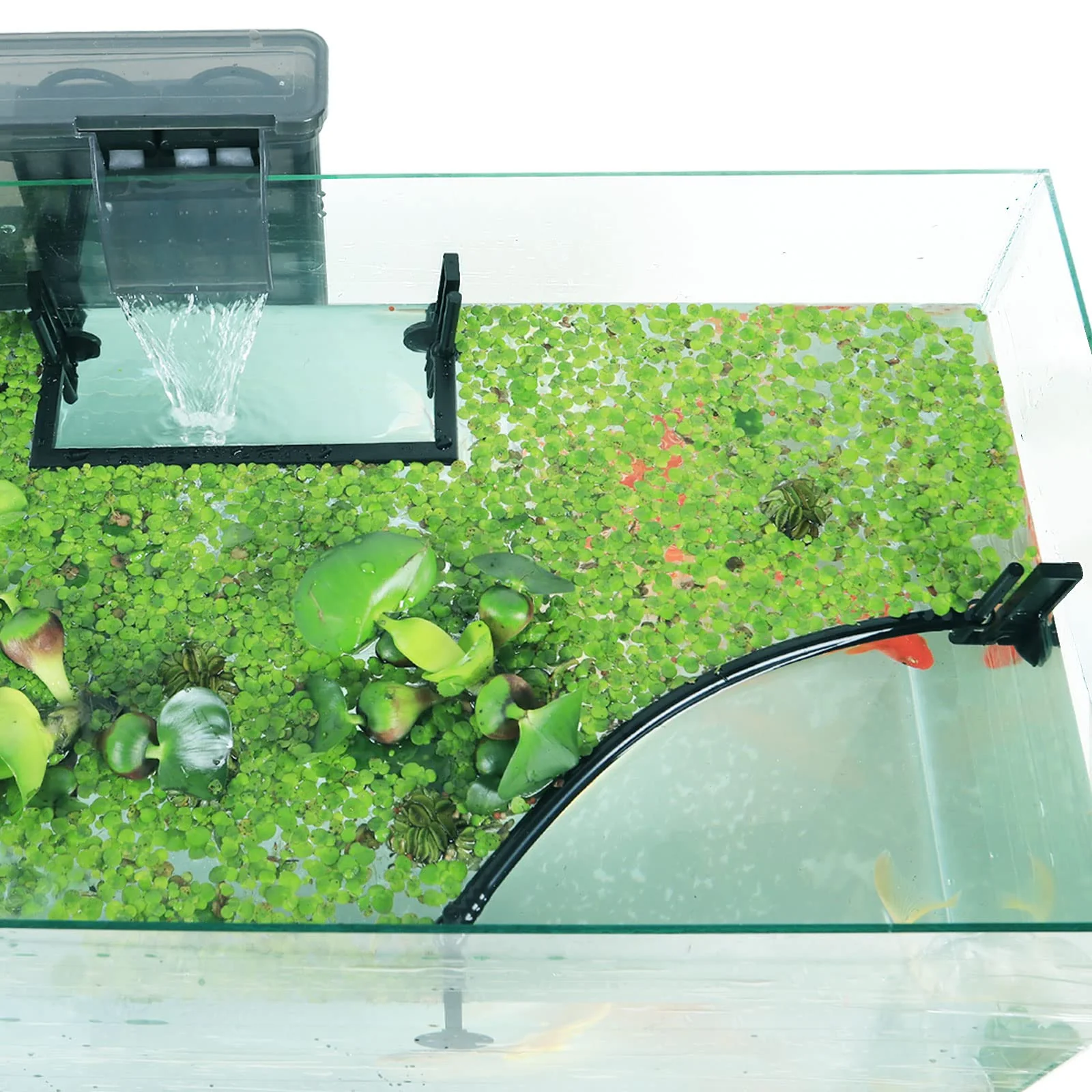 Contemporary HOZOE Aquarium Floating Plant Corral — Adjustable Duckweed Fence Combo Pack Environmentally Friendly