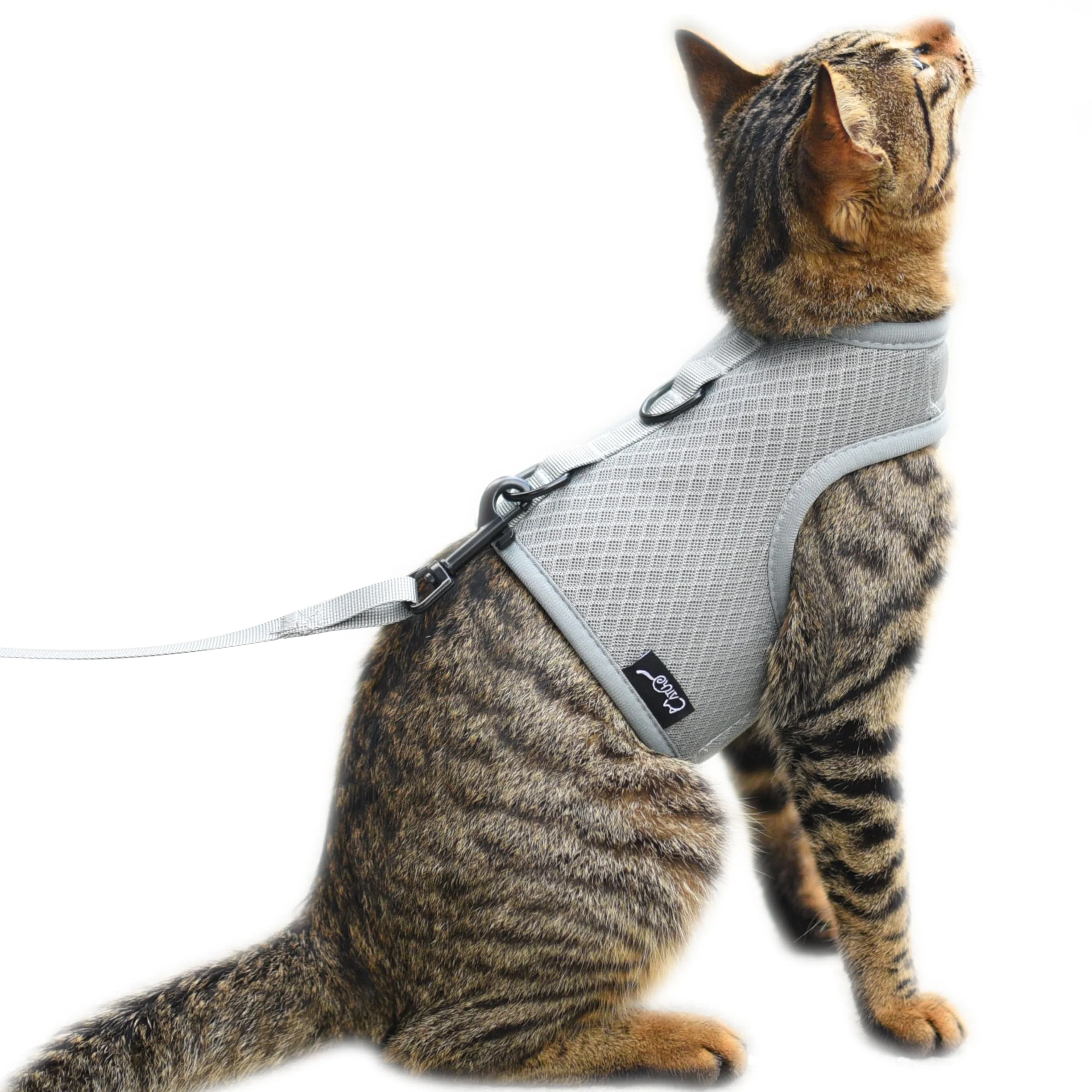 Crafted YIZHI MIAOW Kitty Harness Leash – Escape-Proof Adjustable Cat Walking Vest Small Grey Healthy