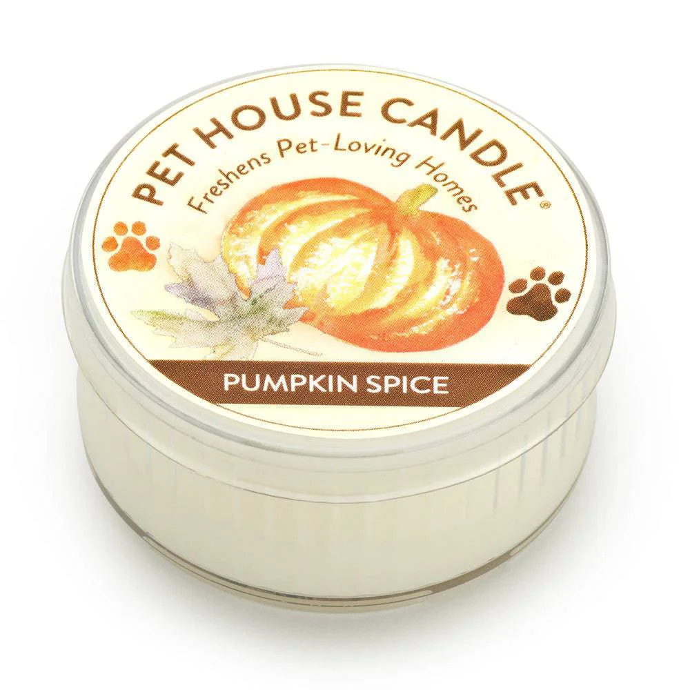 Responsible Pumpkin Spice Mini Candle Environmentally Friendly