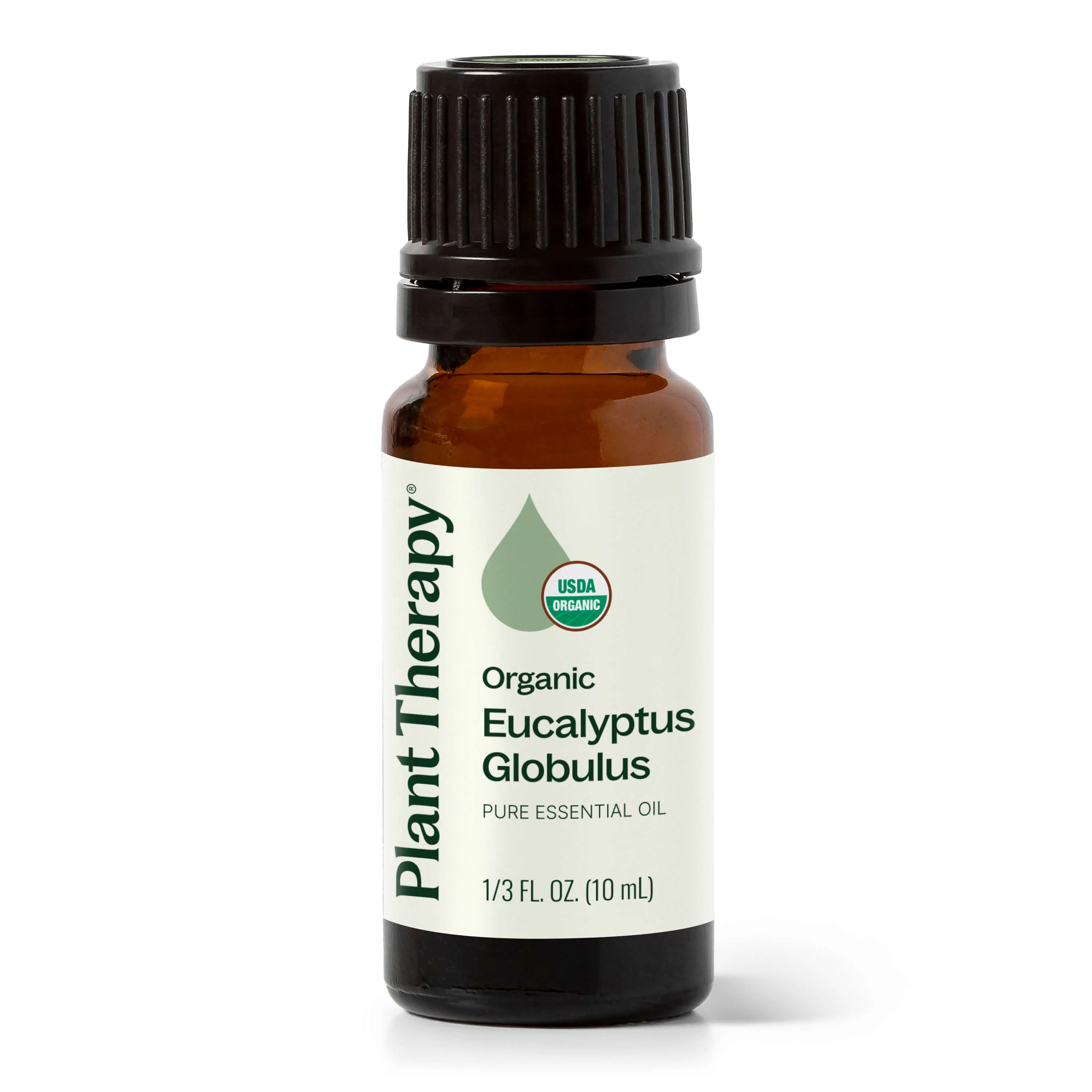 Environmentally Friendly Organic Eucalyptus Globulus Essential Oil Fine Crafted