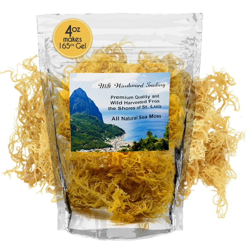 Specialty Pure Wild Harvested Organic Gold Raw Sea Moss Versatile