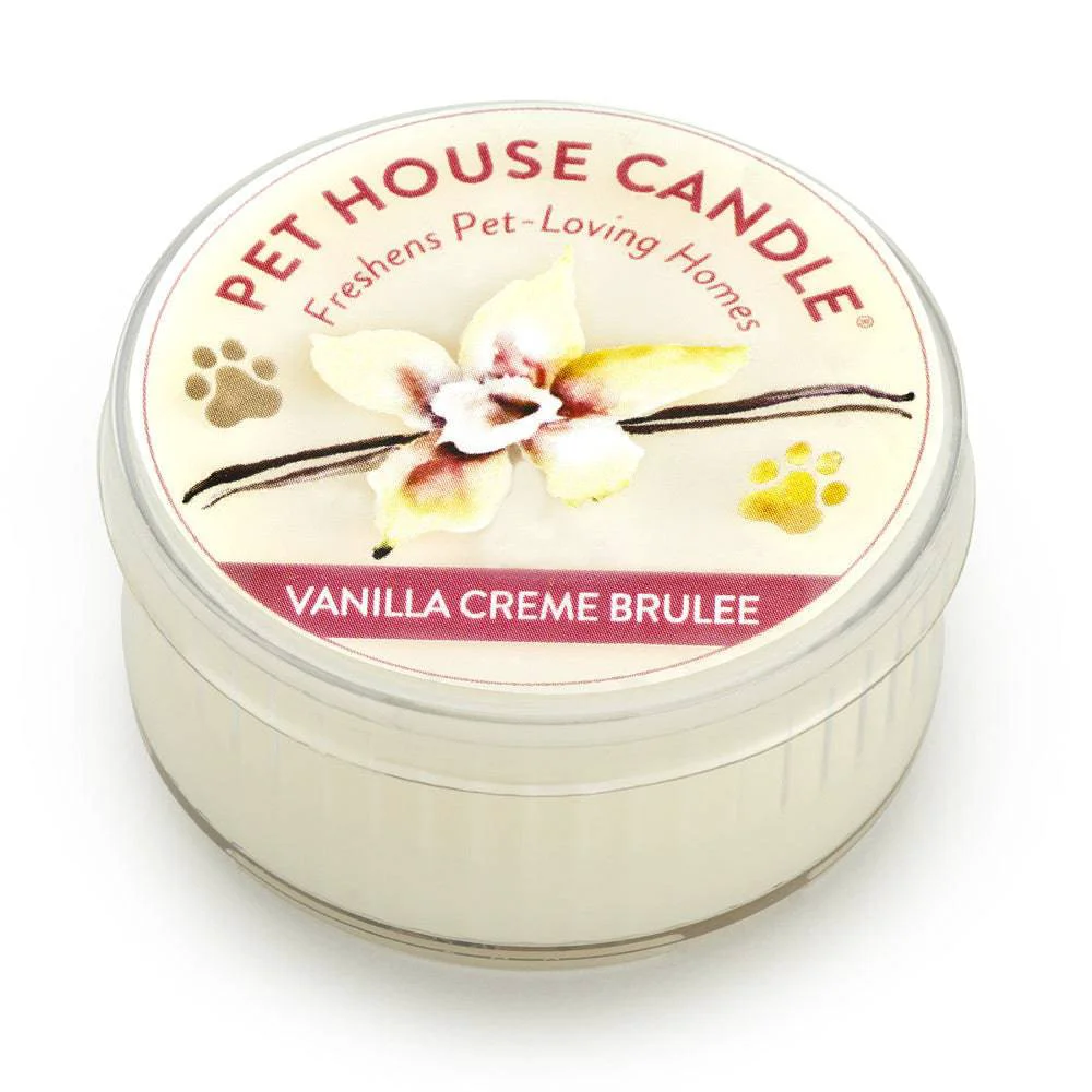 Efficient Vanilla Creme Brulee Mini Candle Secure